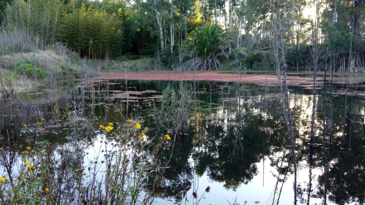 Вилла Pilmaiquen Риачуэло Экстерьер фото